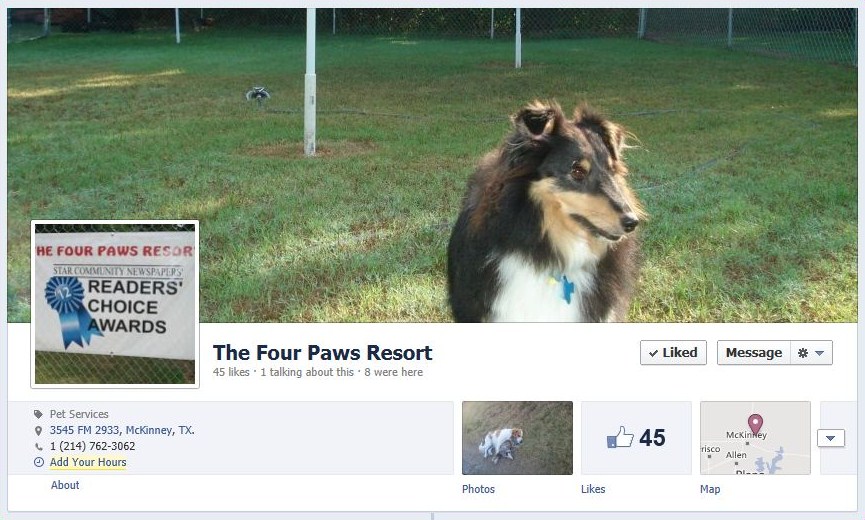 The Four Paws Resort Dog Boarding Kennel in McKinney, TX